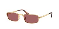 Lunettes de soleil Ray-Ban 3927001/AF54